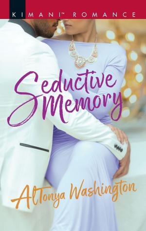 Cover of the book Seductive Memory by Kathryn Jensen