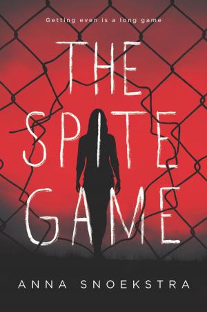 Cover of the book The Spite Game by Maggie Shayne