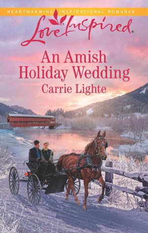 Book cover of An Amish Holiday Wedding