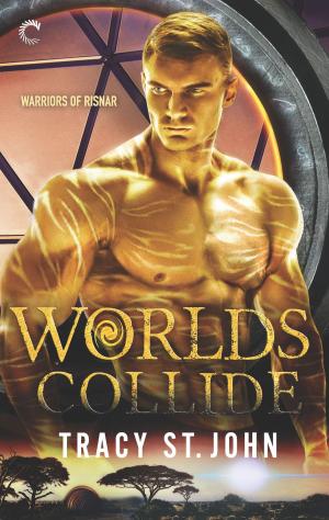Cover of the book Worlds Collide by Donna Lea Simpson