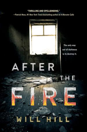 Cover of the book After the Fire by Peggy Anderson