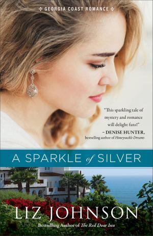 Cover of the book A Sparkle of Silver (Georgia Coast Romance Book #1) by L. A. Ecstacie