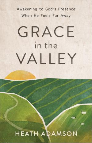 Cover of the book Grace in the Valley by Jerry Fleming