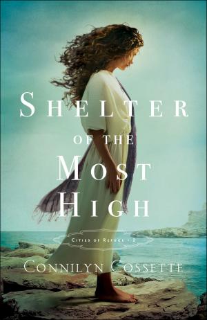 Cover of the book Shelter of the Most High (Cities of Refuge Book #2) by Eugene Woodbury