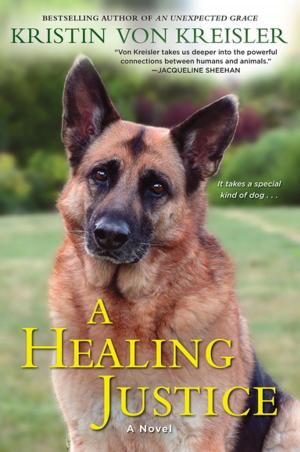 Cover of the book A Healing Justice by K.M. Jackson