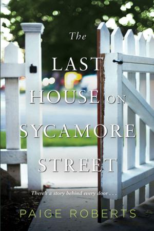 bigCover of the book The Last House on Sycamore Street by 