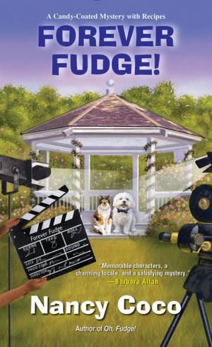 Cover of the book Forever Fudge by Cheryl Hollon