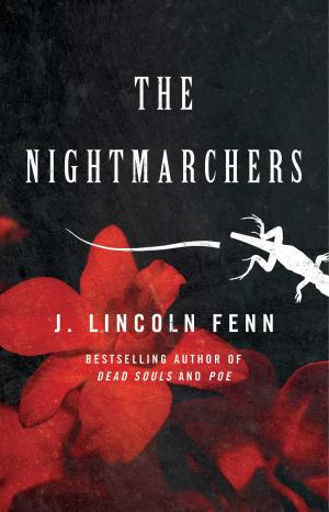 Book cover of The Nightmarchers