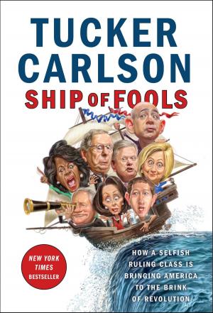Cover of the book Ship of Fools by James Carse