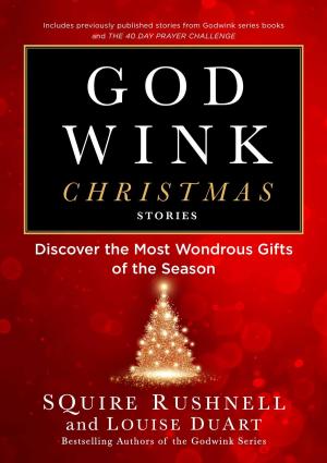 Cover of the book Godwink Christmas Stories by Heather Land
