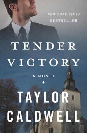 Book cover of Tender Victory