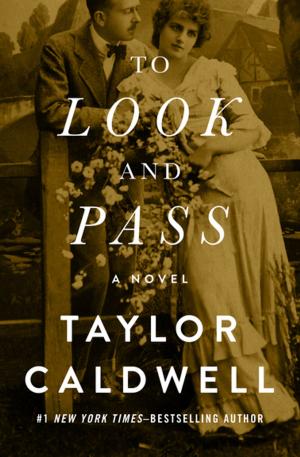 Cover of the book To Look and Pass by Susan Howatch