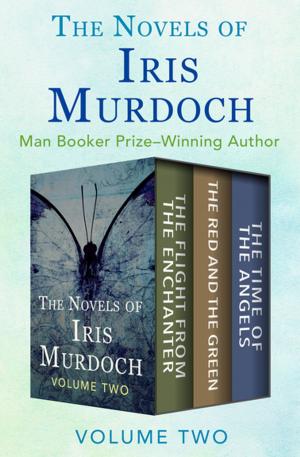 Book cover of The Novels of Iris Murdoch Volume Two