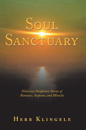 Cover of the book Soul Sanctuary by Richard Belair