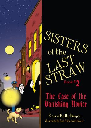 Cover of The Case of the Vanishing Novice