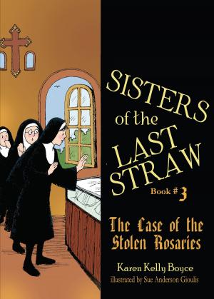 bigCover of the book The Case of the Stolen Rosaries by 