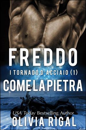 Cover of the book Freddo come la pietra. I Tornado D'Acciaio Vol. 1 by Olivia Rigal