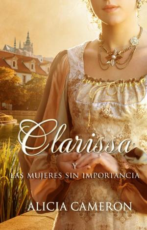 Cover of the book Clarissa y las mujeres sin importancia by A. J. Mitar