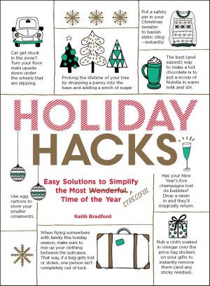bigCover of the book Holiday Hacks by 
