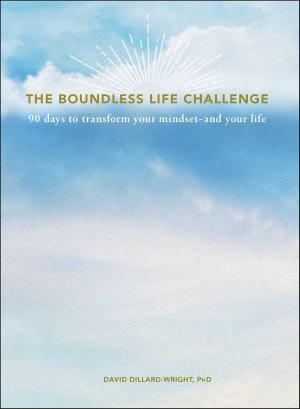 Cover of the book The Boundless Life Challenge by Ilise Benun, Peleg Top