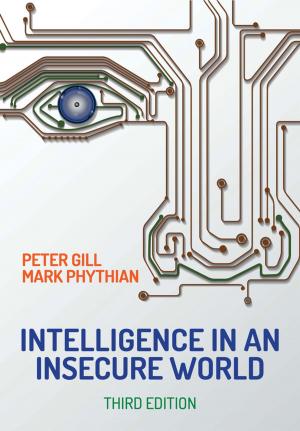 Cover of the book Intelligence in An Insecure World by Qiang Bai, Yong Bai, Weidong Ruan
