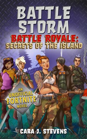 Cover of the book Battle Storm by Fiona McDonald