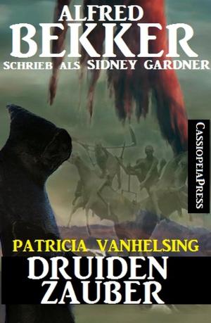 Cover of the book Druidenzauber (Patricia Vanhelsing) by Hendrik M. Bekker