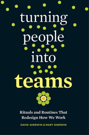 Cover of the book Turning People into Teams by Duane Elgin