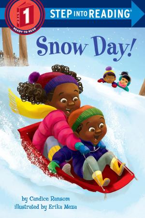 Cover of the book Snow Day! by E. Lockhart