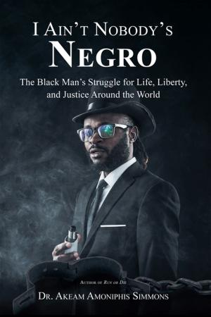 Cover of the book I Ain’t Nobody’s Negro by Ernest Auerbach