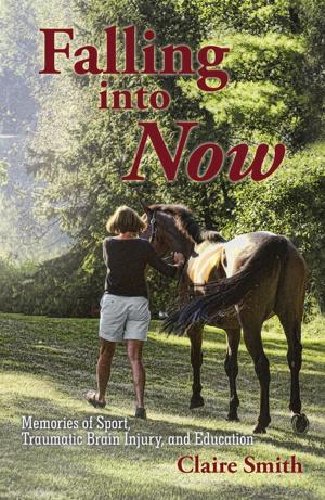 Cover of the book Falling into Now by A. A. Briggs