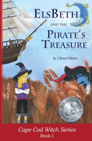 bigCover of the book ElsBeth and the Pirate's Treasure by 