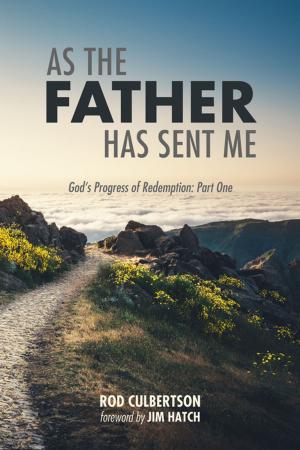 Book cover of As The Father Has Sent Me