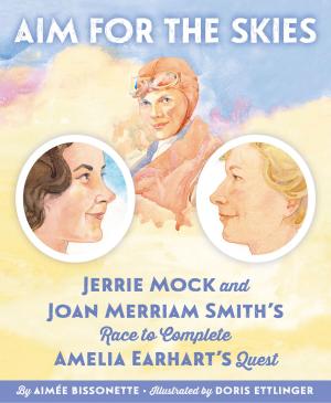 Book cover of Aim for the Skies