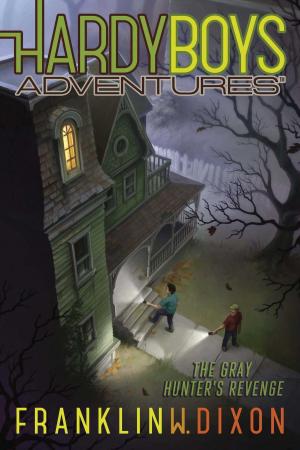 Cover of the book The Gray Hunter's Revenge by B.A. Keating