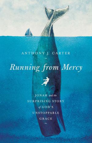 Cover of the book Running from Mercy by Michael S. Wilder, Shane W. Parker