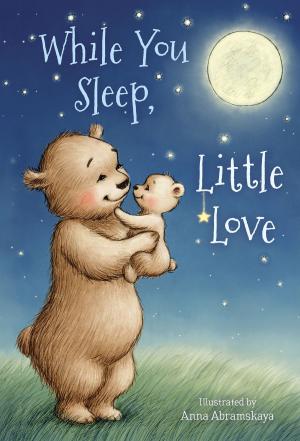 Cover of the book While You Sleep, Little Love by Andrea Denton