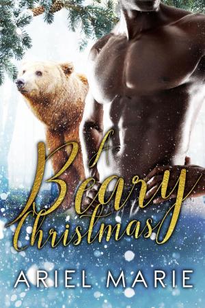 Cover of the book A Beary Christmas by Elizabeth Parker