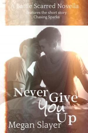 Cover of the book Never Give You Up by Megan Slayer, Wendi Zwaduk