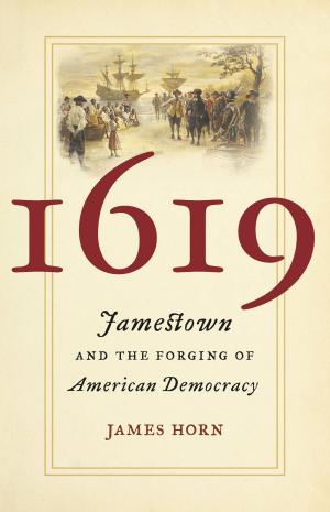 Cover of the book 1619 by David Cole