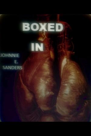 Cover of the book Boxed In by DR Spice, JB Azneer
