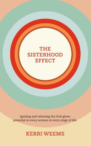 Cover of the book The Sisterhood Effect by Luke Yankee