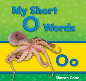 Book cover of My Short O Words