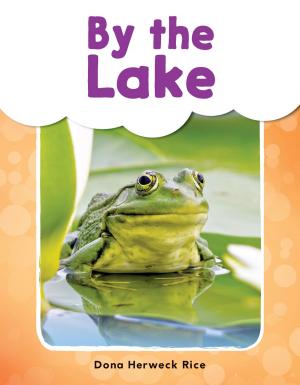 Cover of the book By the Lake by Kris Langman