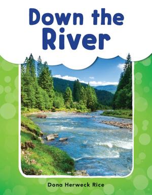 Cover of the book Down the River by Lisa Steele MacDonald