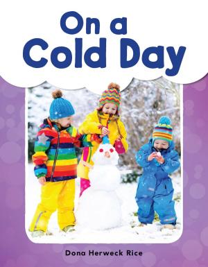 Cover of the book On a Cold Day by Dona Herweck Rice