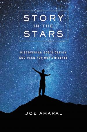 Cover of the book Story in the Stars by Dianna Anderson
