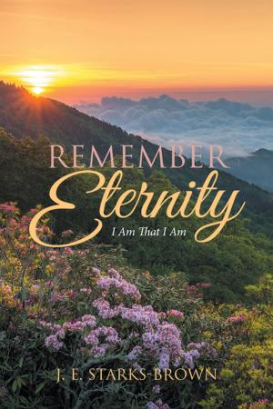Cover of the book Remember Eternity by Lawnrence R. Beaty