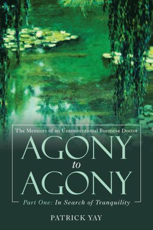 Cover of the book Agony to Agony by Lesibu ‘Gift’ Rapuli