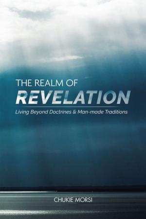 Cover of the book The Realm of Revelation by Stephanie Guidetti  RN